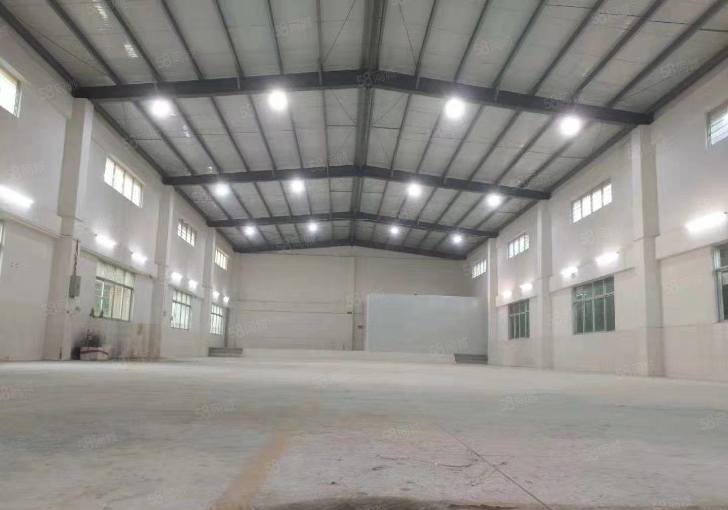 桥头镇新出个人原房东钢构单一层滴水7米小面积厂房900平