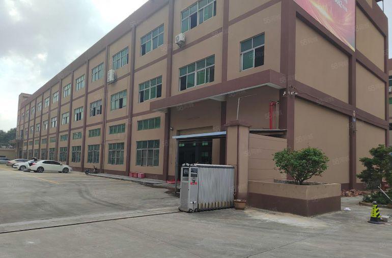 桥头镇大洲村 原房东标准独院13800平厂房出租 带装修办公