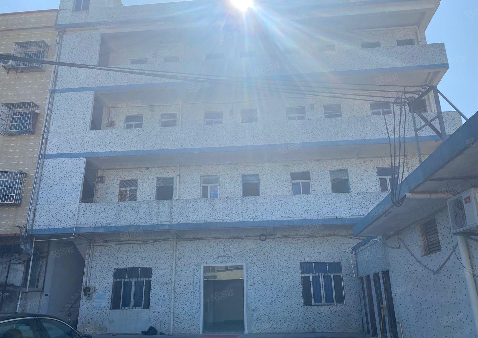 桥头镇新出全新8米高单一层7500平方米出租500平米起分。