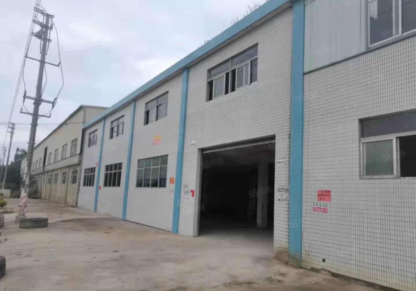 桥头新出小面积标准一楼800平，交通便利，远离居民东部快线旁