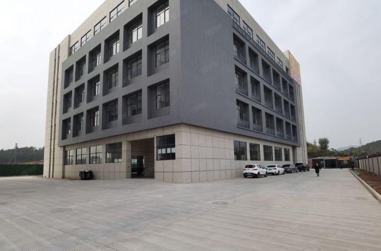 桥头镇整层2500平方全新国有红本高新工业园厂房出租可分租