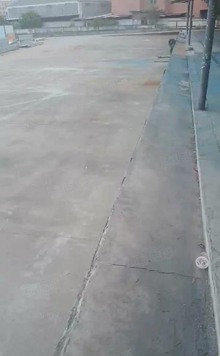 桥头镇原房东单一层钢构，现成水电到车间办公室。带行车空地超大