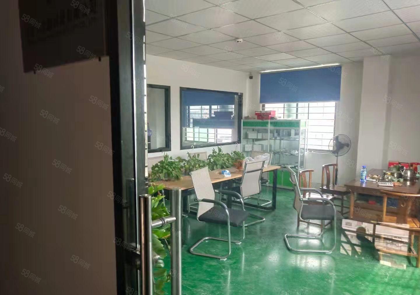 桥头镇新出厂小面积厂房分租一二楼1000平方，一楼高度7米