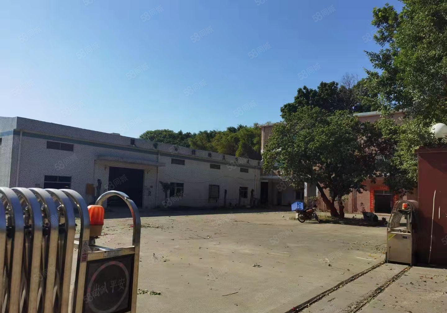 东莞桥头砖墙到顶单一层带牛角钢构空地2000平主干道旁