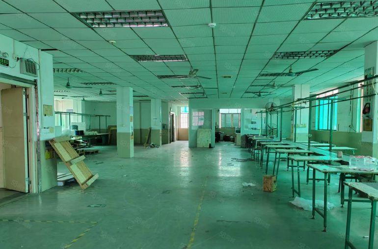 原房东标准厂房 无公摊 实际面积出租 价格可聊 看上就租