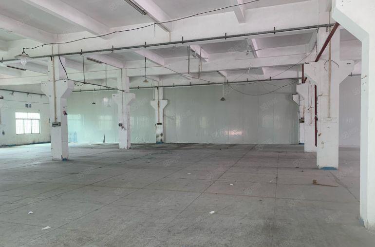 靠近常平 原房东独院出租 工业用地 现成办公室 厂房出租