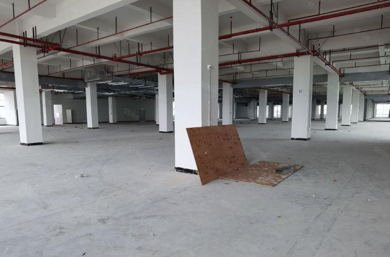 桥头镇整层2500平方全新国有红本高新工业园厂房出租可分租