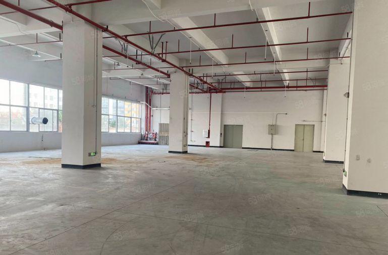 工业区6米高标准一楼1500平出租，水电齐全有办公室。