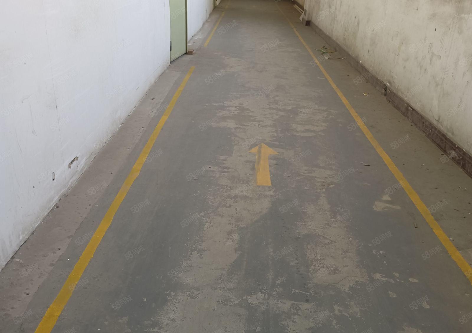 桥头靠企石镇新出原房东小面积钢构厂房1000。一楼滴水9米高