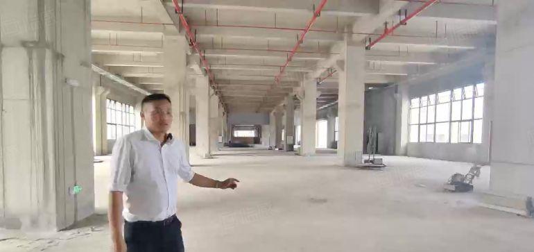 石排靠桥头东部快速红本双证双边卸货平台上市公司形象空地1万平