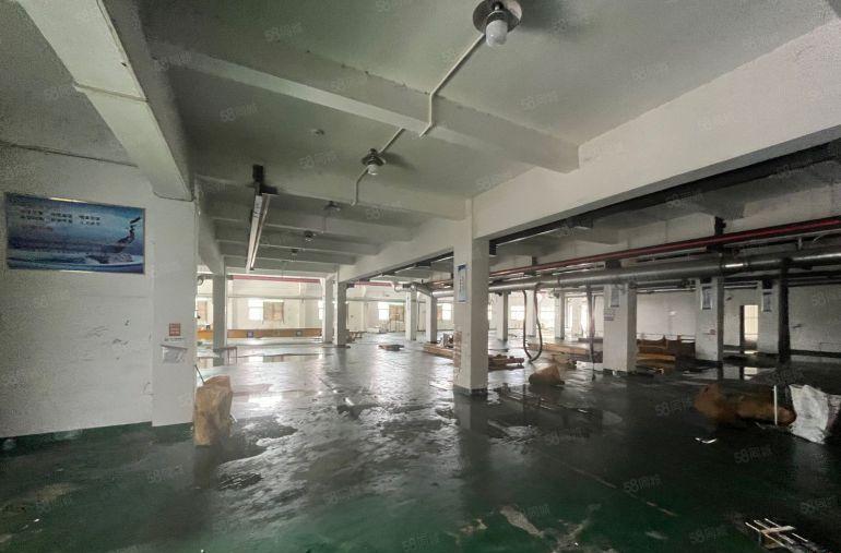 特价10元！桥头新出原房东经典小独院厂房3000平适合各行业