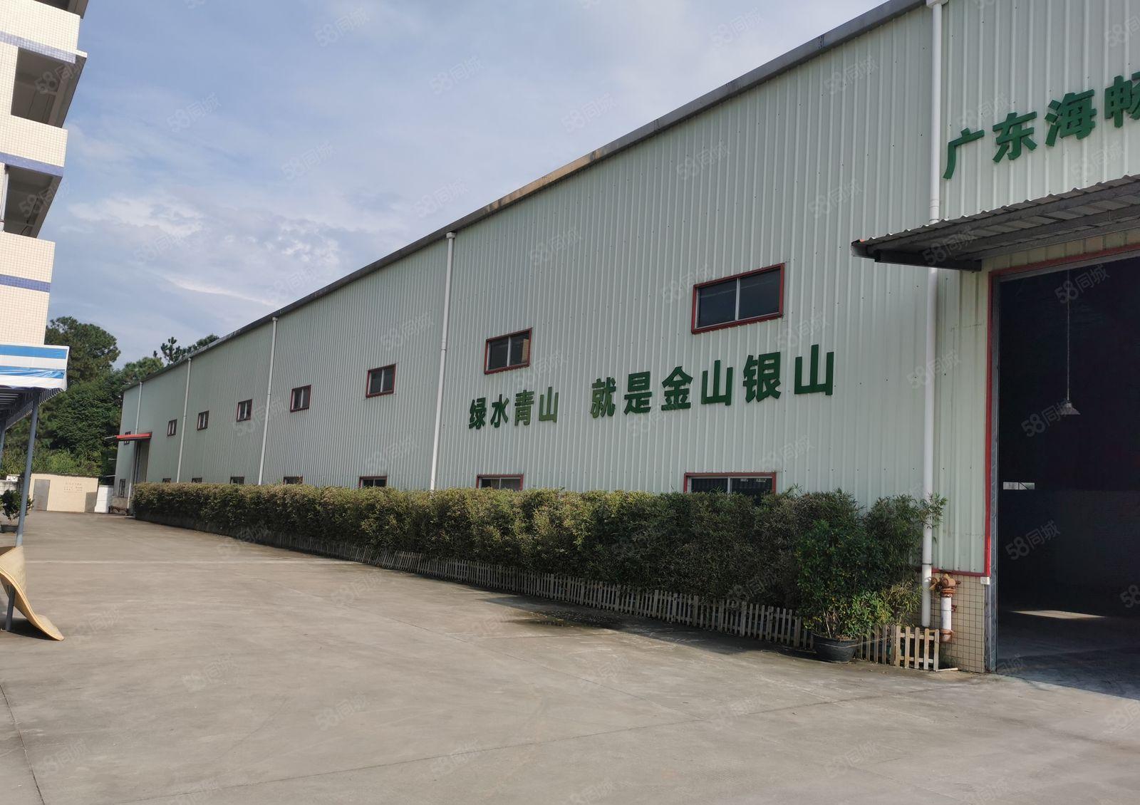 桥头镇单一层独院厂房出租滴水9米现成办公室周边无居民