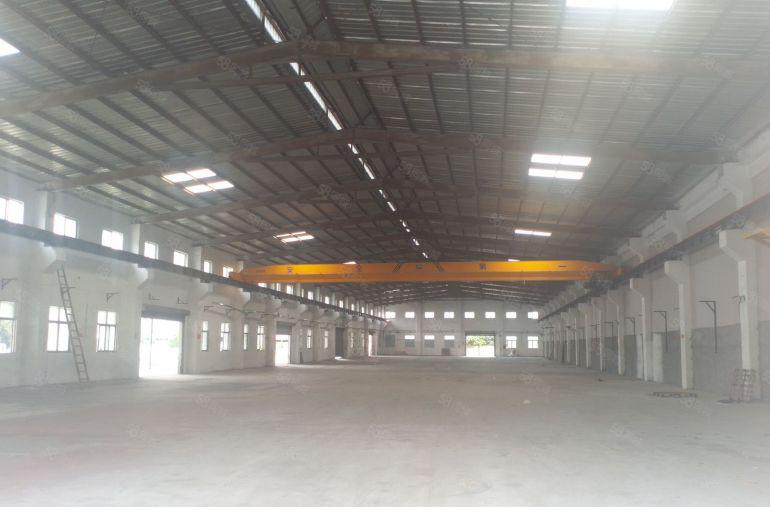 桥头镇原房东单一层钢构，现成水电到车间办公室。带行车空地超大