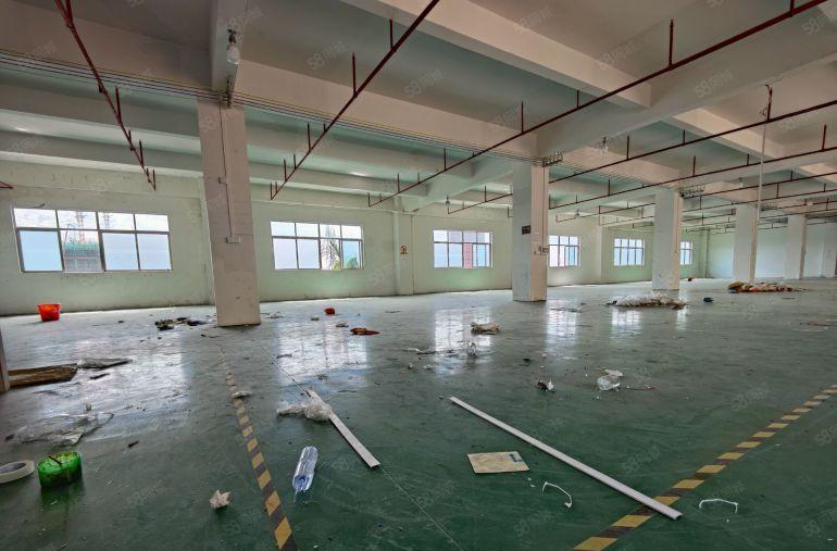 桥头新出原房东标准独院，形象好带全新地坪漆空地大二类消防喷淋