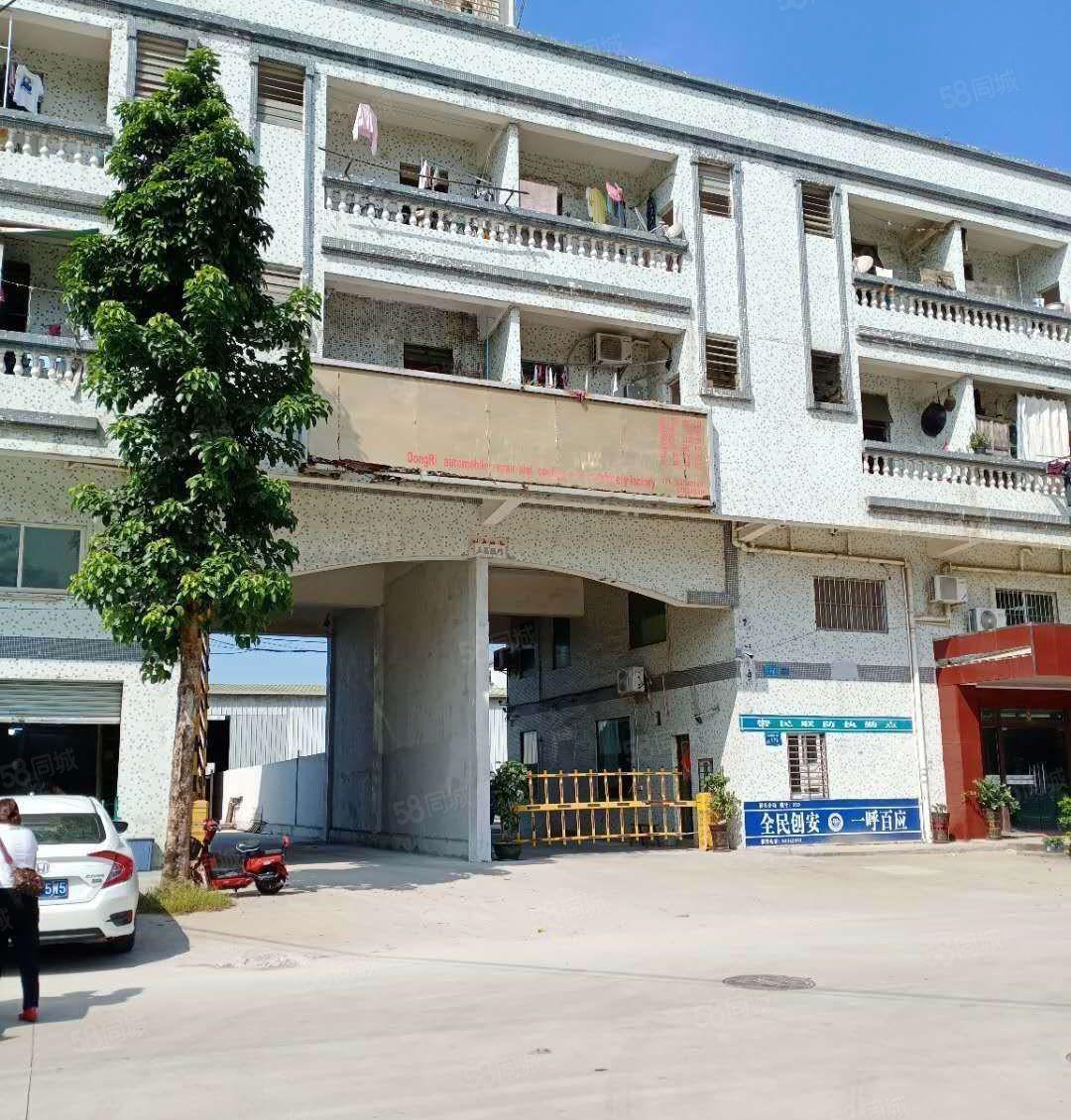 桥头镇原房东标准独院厂房二楼1200平方，现成地坪漆