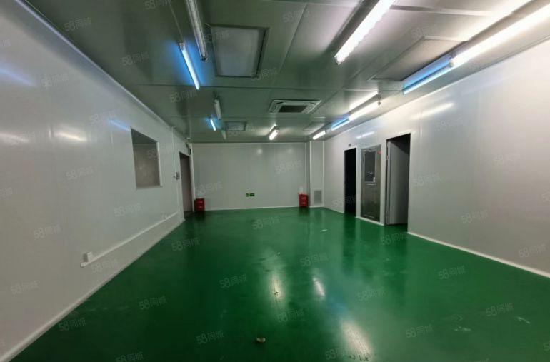 桥头镇高速出口旁原房东标准独院9800平，带国有双证低价出租