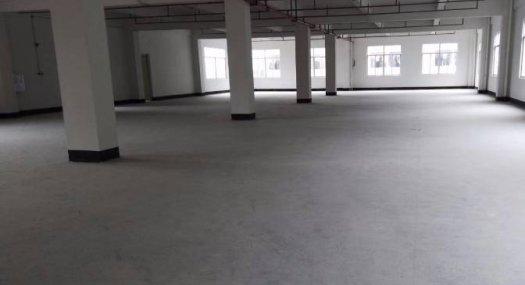 清溪镇三中全新原房东厂房出租800平、配有消防喷淋