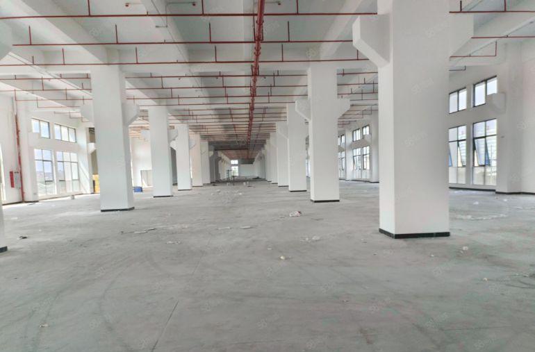 东坑角色原房东一楼3600平方层高7米厂房出租