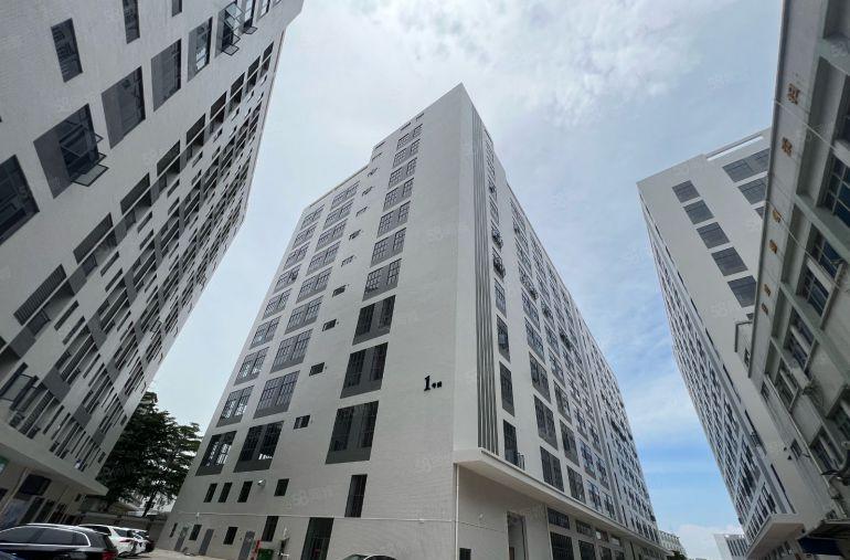 东坑常平8元全新厂房，单层6000平方可分租