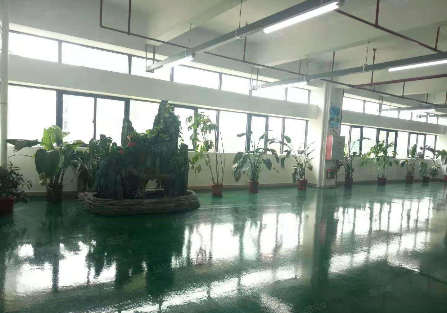 东坑 骏达工业园 大型科技园20万平方,分租8元起，形象好空