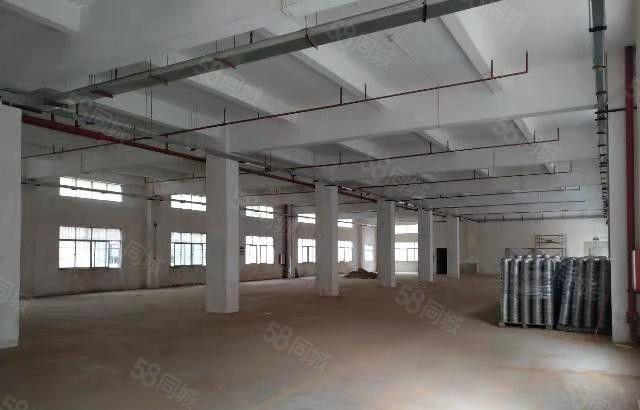 东坑 坑美 即将空出 一楼 1500平方,形象超靓,位置好