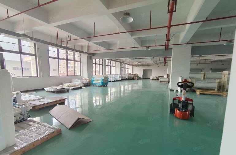 10块一平，东坑原房东实际面积1180平精装修厂房出租