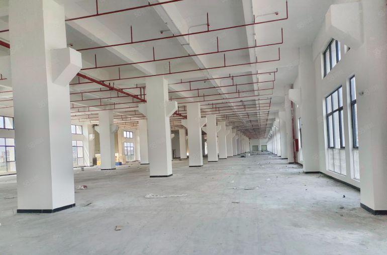 东坑角色原房东一楼3600平方层高7米厂房出租