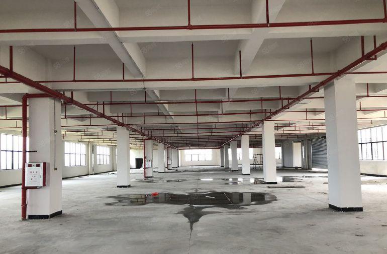 东坑镇原房东厂房出租超大空地找厂房找仓库出租适合各种行业