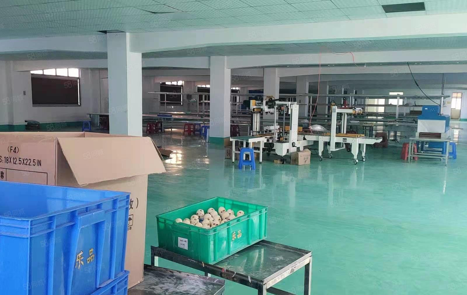 东坑镇角社村新出原房东标准一楼现成水电装修地坪漆6.5米高带