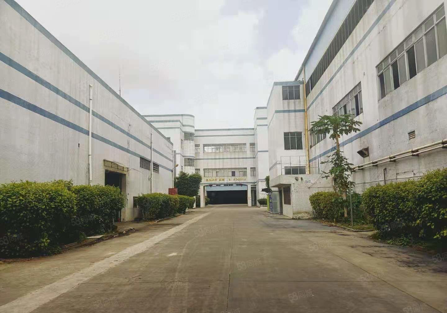 出租东坑新门楼厂房 水电到位 带消防喷淋 空地超大 交通便利