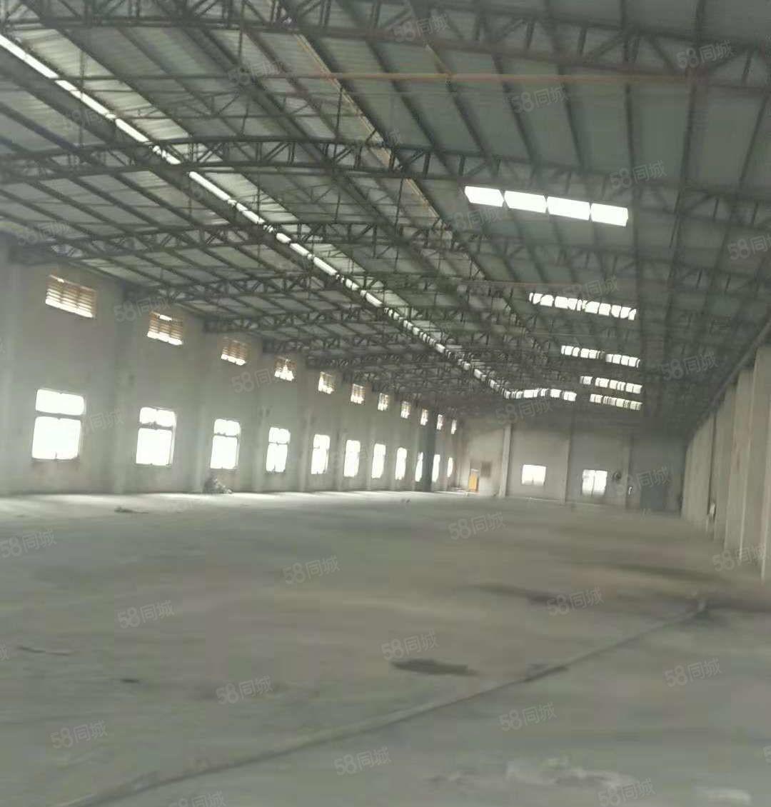 东坑 8米高 钢构 厂房出租1500平方,九成新，独院