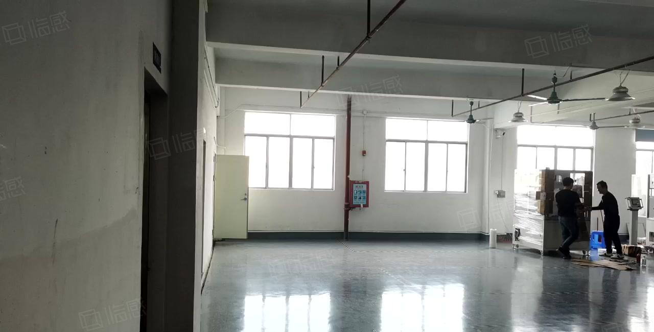 东坑镇标准厂房三楼出租全新装修办公室地坪漆水电齐全工业用地