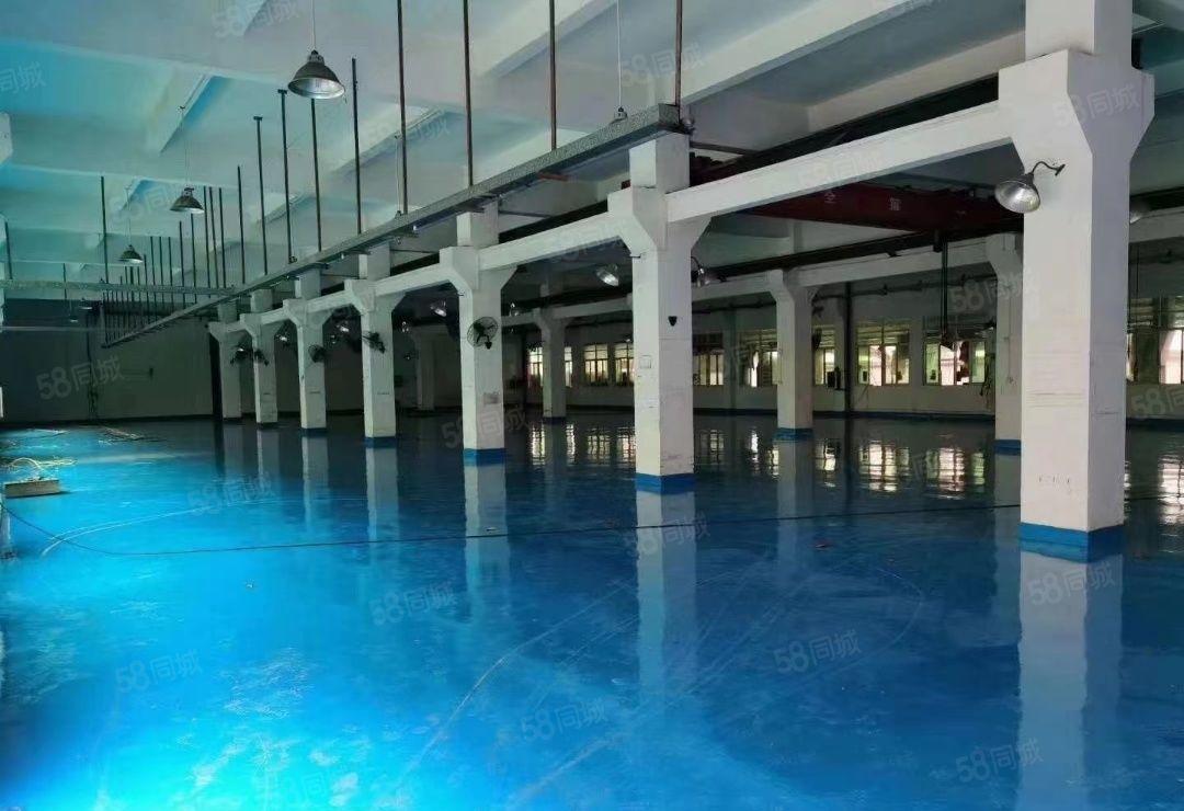 东坑镇角社村新出原房东标准一楼现成水电装修地坪漆6.5米高带