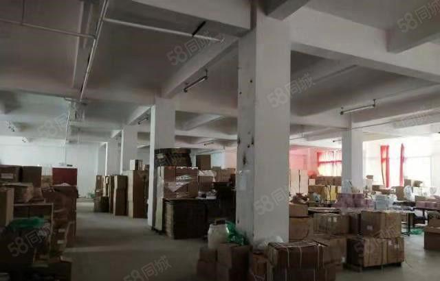 东坑 全新厂房 共3800平方 急租 带装修 水电线路齐全