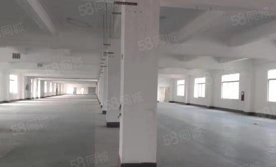 东坑 宝柏工业城 独院 厂房出租 共5000平方，形象好