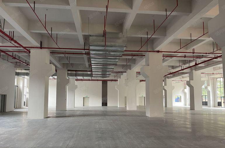 一楼标准500平厂房出租  大小可分租