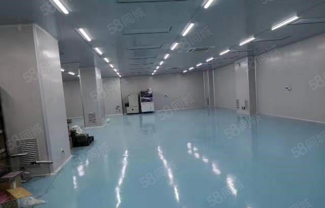 东坑 角社 自用厂房出租 一楼1000平方,无公摊面积