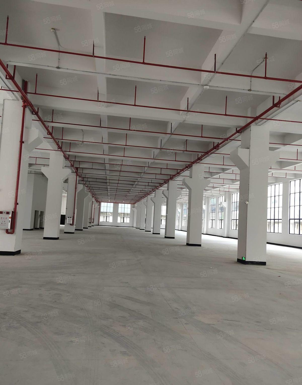 东坑镇工业园区 一楼厂房招租 面积3580平方 可整租可分租