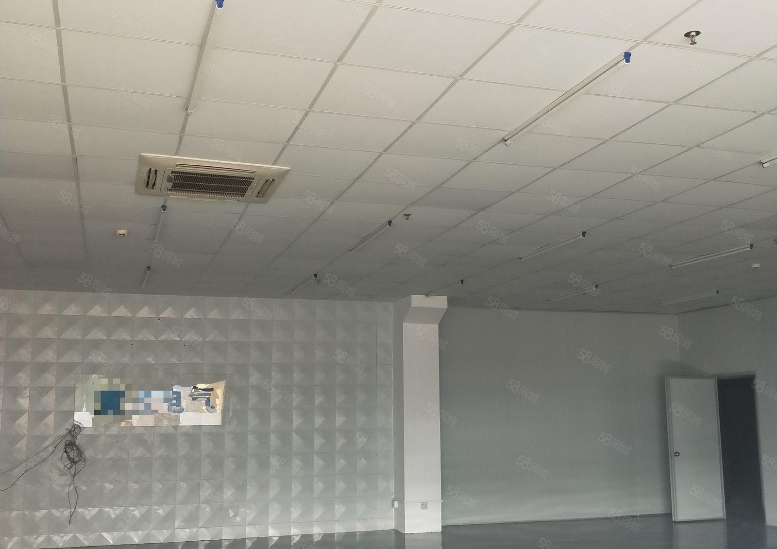 东坑 大地工业区 独院厂房 分租 一楼300平方，价格便宜