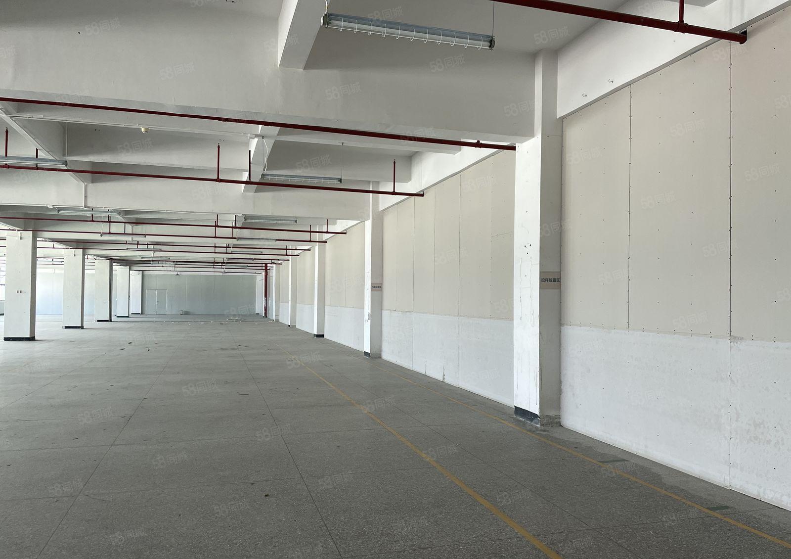 东坑镇工业园标准厂房出租四楼2000平可办环评带精装办公室