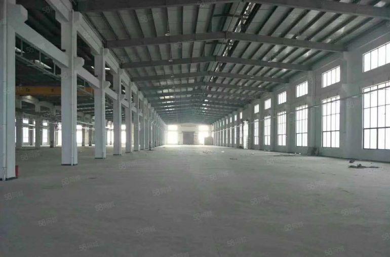 东坑 独院 单一层钢构 2800平方 带行车 高度10米