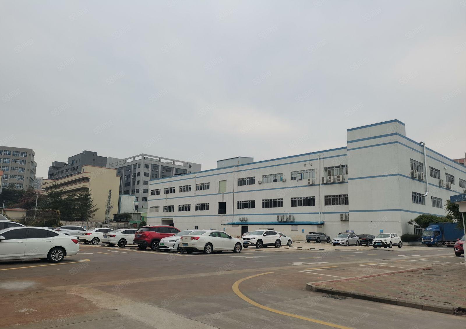 东坑镇标准厂房出租，国有双证齐全，带红本园区空地超大，易招工