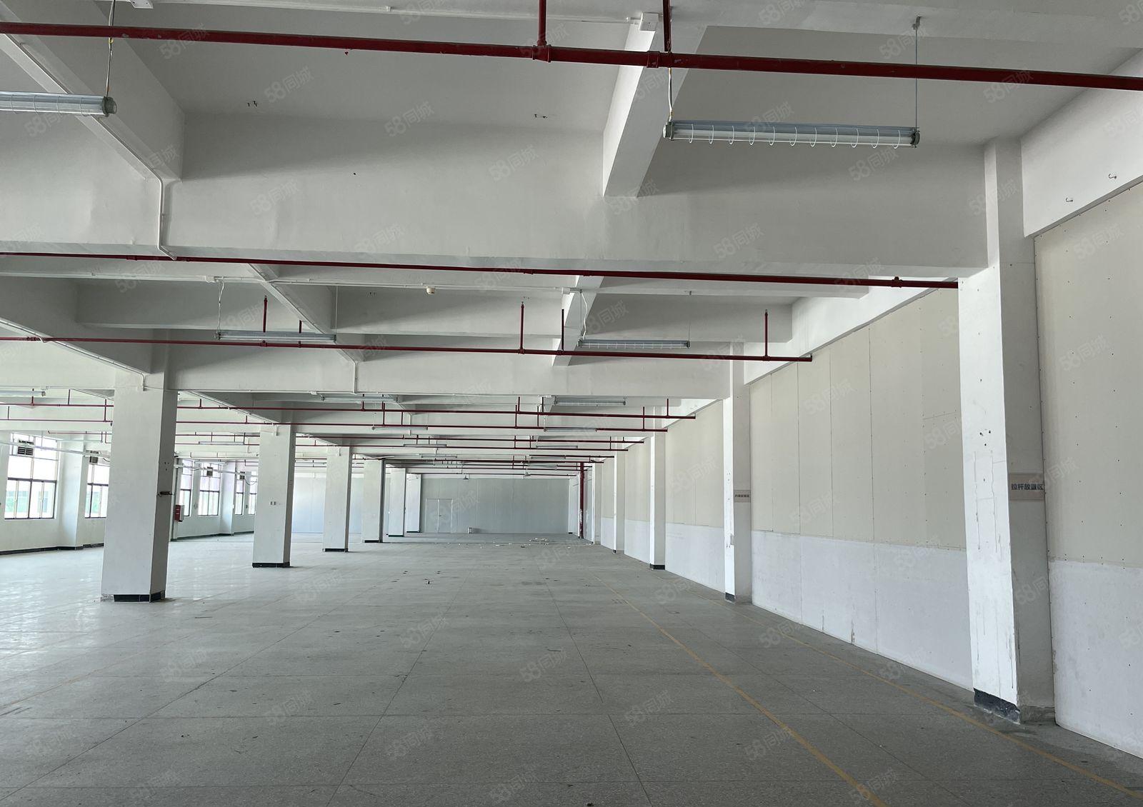 东坑镇工业园标准厂房出租四楼2000平可办环评带精装办公室