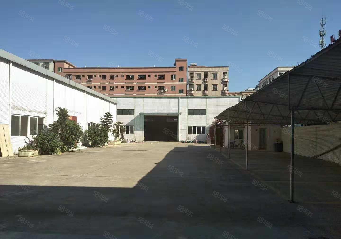 东坑 坑美 独院厂房 出租，单一层 钢构 3000平方