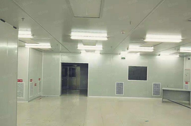 东坑 科技路附近 高新科技园3万平方火爆招商 可分租