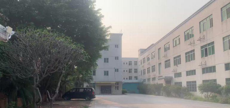 东坑新出原房东独门独院5000平方实际面积出租可分租