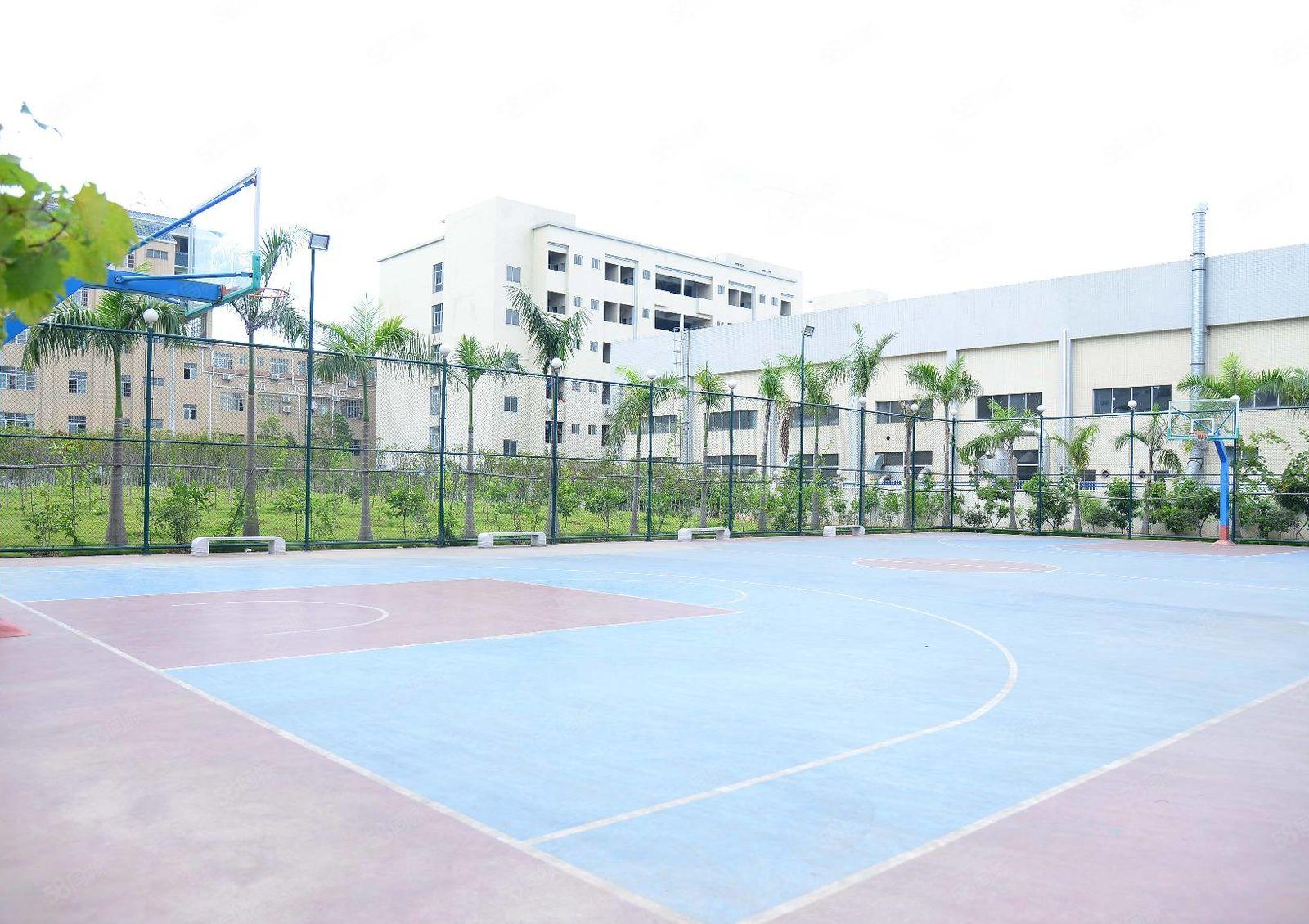 东坑原房东厂房出租 2到5层 层高4.3米 工业用地可办环评