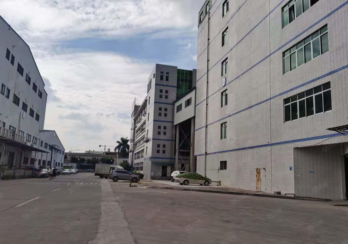 东坑彭屋小面积厂房出租  现成水电 消防合格 可办环评