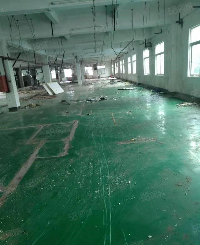 东坑 初坑 独院厂房出租2000平方，原房东