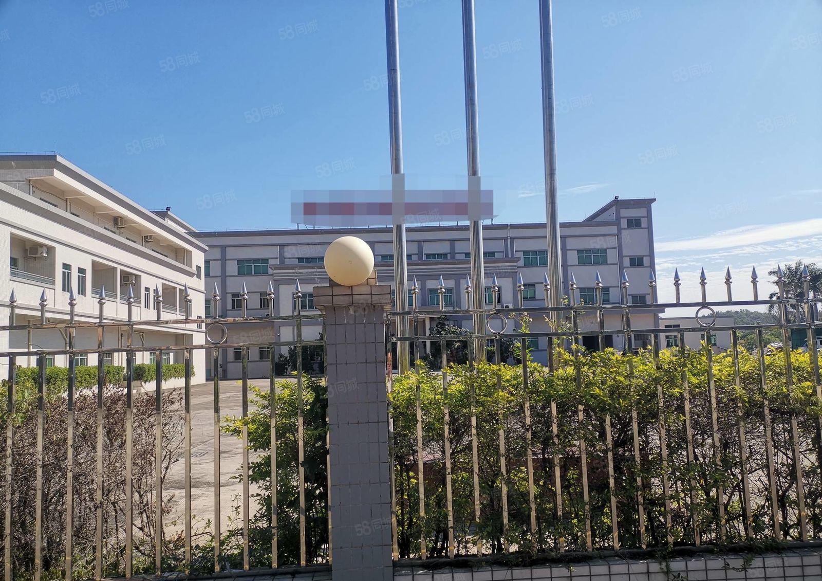 新出原房东带独立办公楼8600平独院 塑胶五金